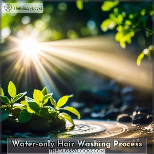 Water-only Hair Washing Process