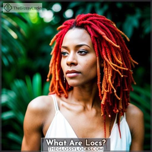 What Are Locs What Are Locs