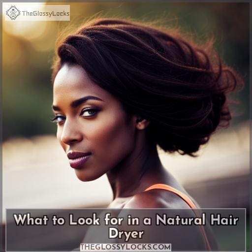 What to Look for in a Natural Hair Dryer