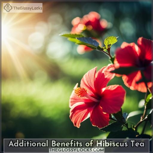 Additional Benefits of Hibiscus Tea