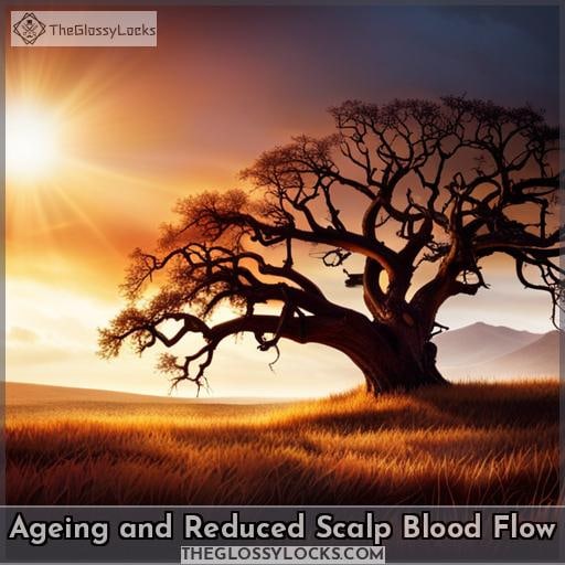 Ageing and Reduced Scalp Blood Flow