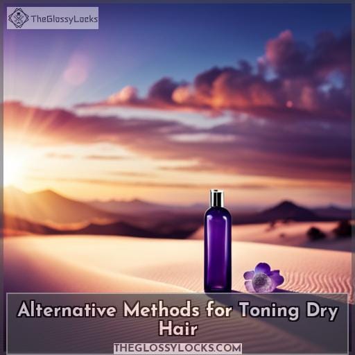 Alternative Methods for Toning Dry Hair