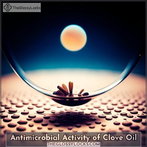 Antimicrobial Activity of Clove Oil
