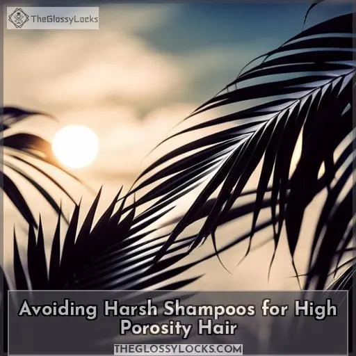 Avoiding Harsh Shampoos for High Porosity Hair