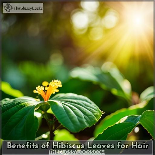 Benefits of Hibiscus Leaves for Hair