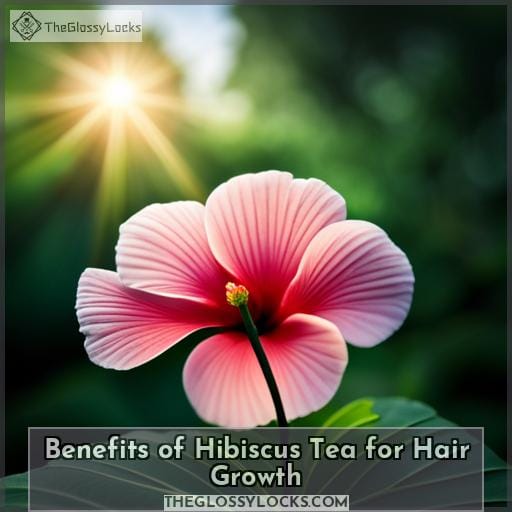 Hibiscus Tea Boost Hair Growth And Prevent Dryness