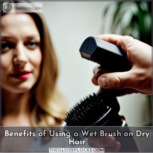 Benefits of Using a Wet Brush on Dry Hair