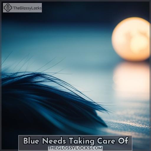 Blue Needs Taking Care Of