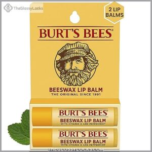 Burt's Bees Moisturizing Lip Care,