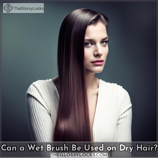 Can a Wet Brush Be Used on Dry Hair