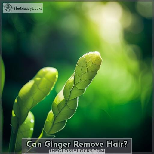 Can Ginger Remove Hair