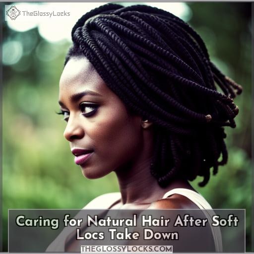 Caring for Natural Hair After Soft Locs Take Down