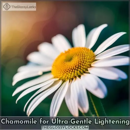Chamomile for Ultra-Gentle Lightening
