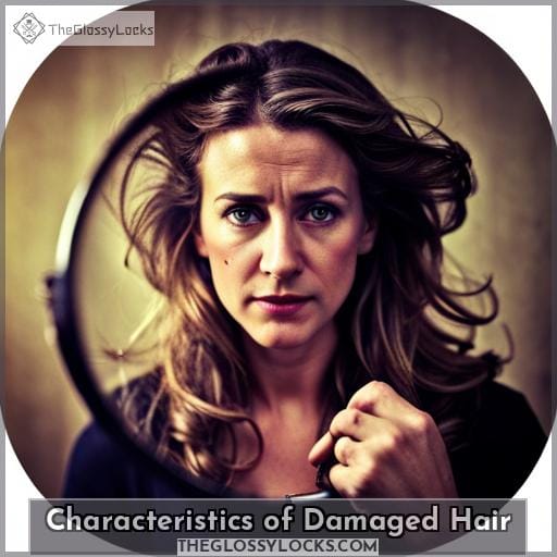 Characteristics of Damaged Hair