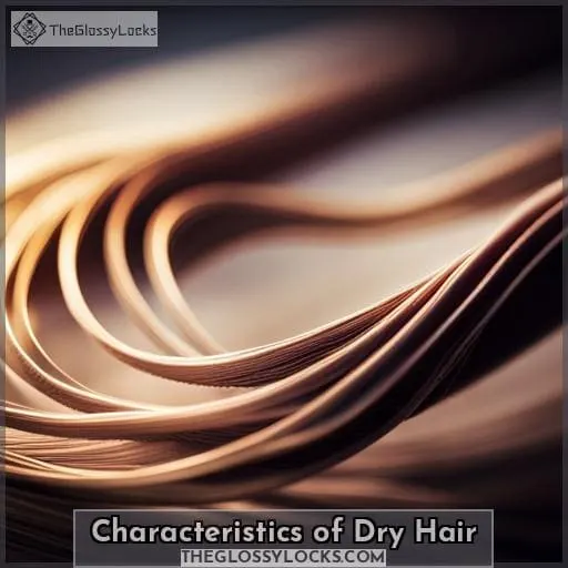 Characteristics of Dry Hair