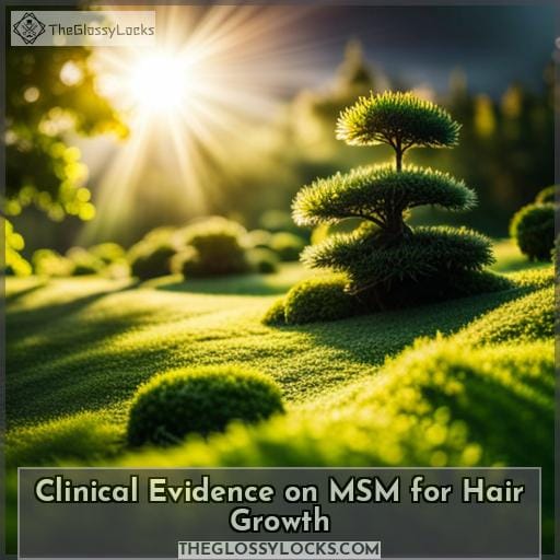 Clinical Evidence on MSM for Hair Growth