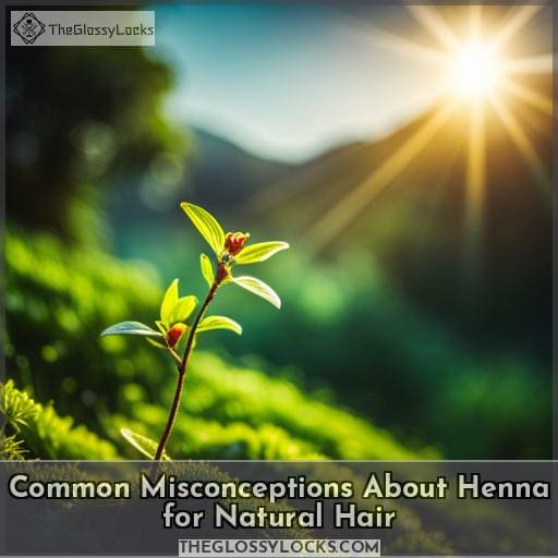 Common Misconceptions About Henna for Natural Hair