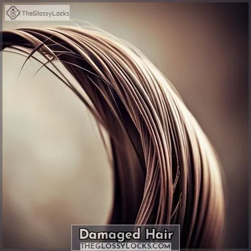 Damaged Hair