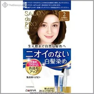 Dariya SALON DE PRO Hair B000V2F34A