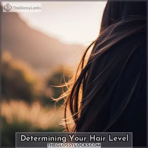 Determining Your Hair Level