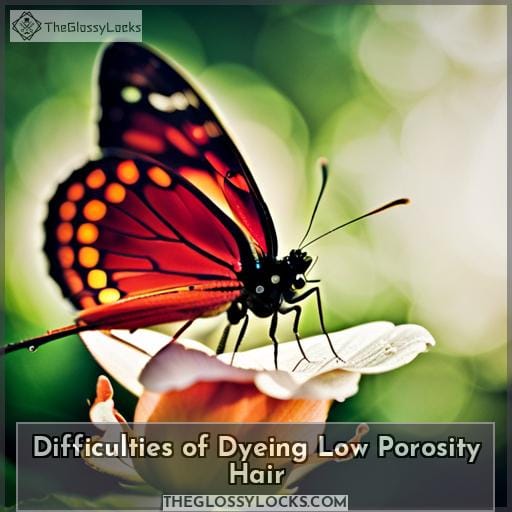 Difficulties of Dyeing Low Porosity Hair