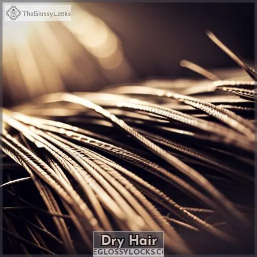 Dry Hair