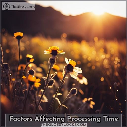 Factors Affecting Processing Time