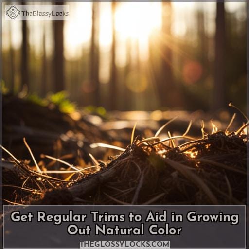 Get Regular Trims to Aid in Growing Out Natural Color