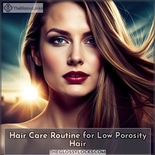 Hair Care Routine for Low Porosity Hair