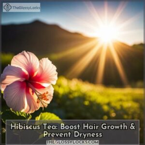 hibiscus tea for hair growth