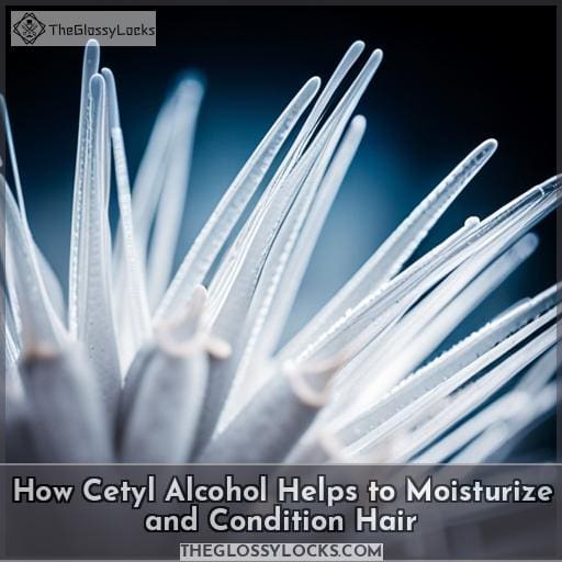 How Cetyl Alcohol Helps to Moisturize and Condition Hair
