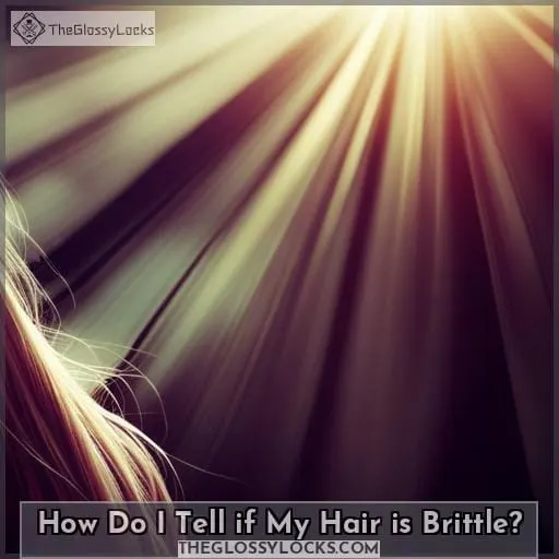 How Do I Tell if My Hair is Brittle