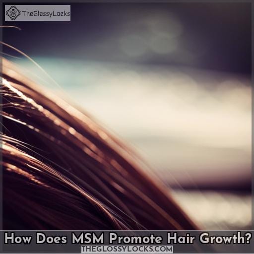 How Does MSM Promote Hair Growth
