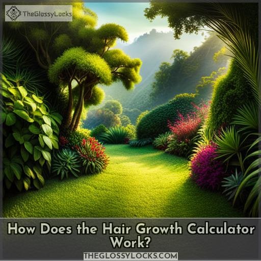 How Does the Hair Growth Calculator Work