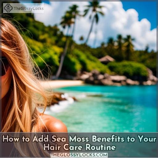 How to Add Sea Moss Benefits to Your Hair Care Routine