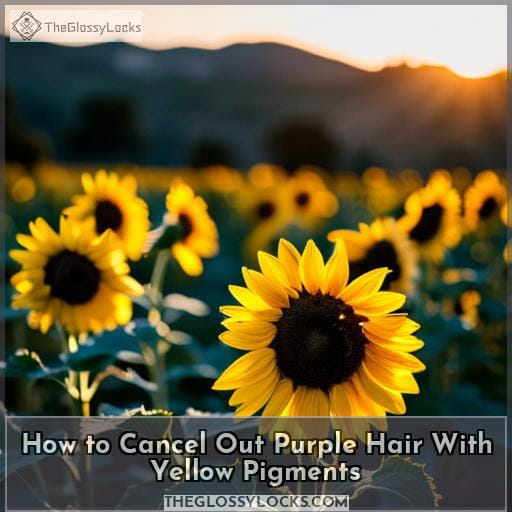 How to Cancel Out Purple Hair With Yellow Pigments