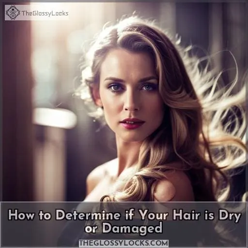 how to tell if your hair is dry or damaged