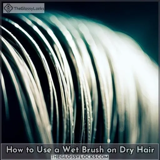 How to Use a Wet Brush on Dry Hair