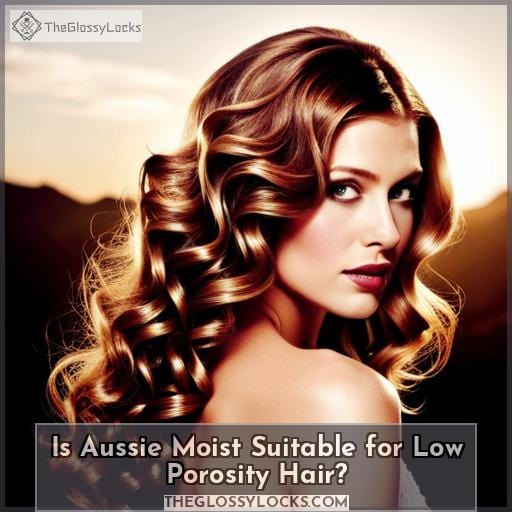 Is Aussie Moist Suitable for Low Porosity Hair