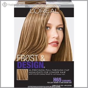 L'Oreal Paris Professional Techniques Frost