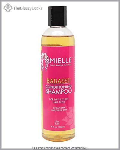 Mielle Babassu Conditioning Shampoo, 8