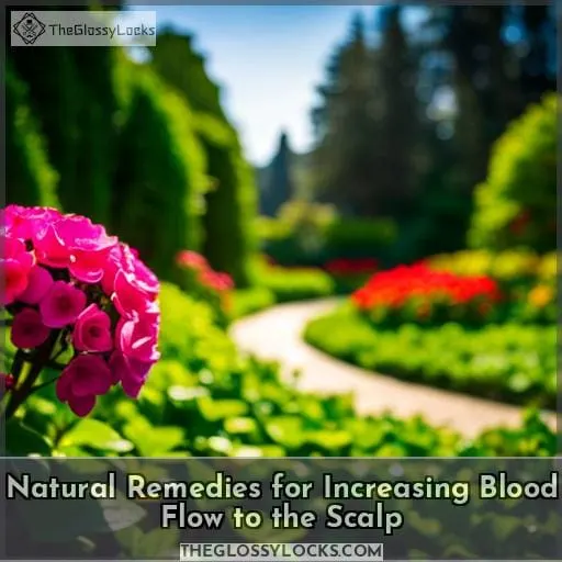 Natural Remedies for Increasing Blood Flow to the Scalp