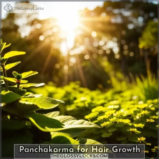 Panchakarma for Hair Growth