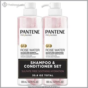 Pantene Sulfate Free Shampoo and B07N3BN1KS