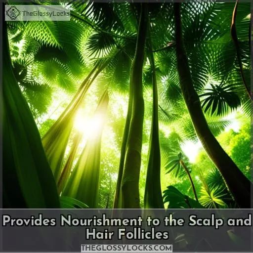 Provides Nourishment to the Scalp and Hair Follicles