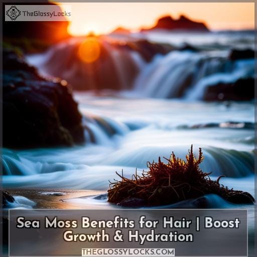 Sea Moss Benefits for Hair Boost Growth & Hydration