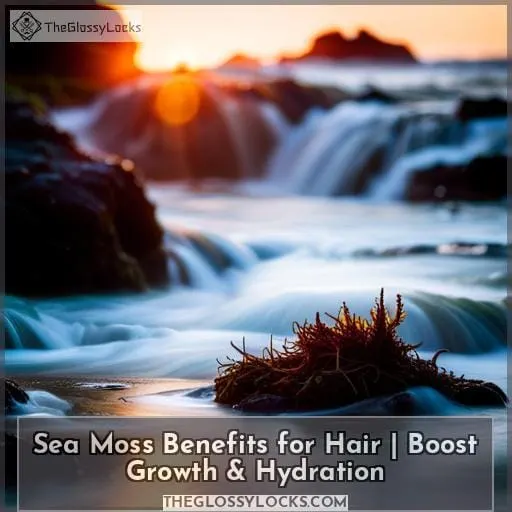 sea moss for your hair