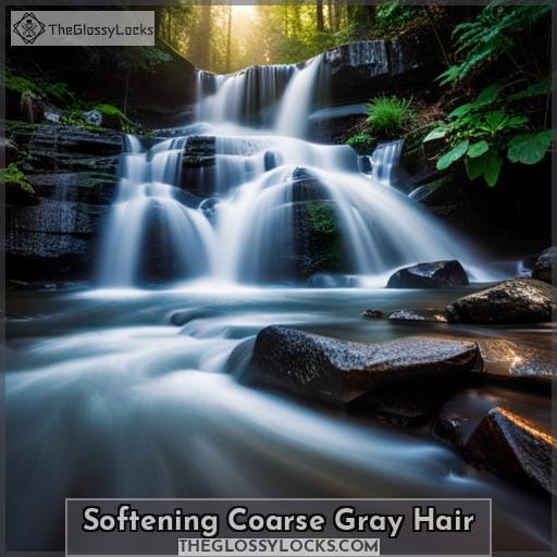 Softening Coarse Gray Hair