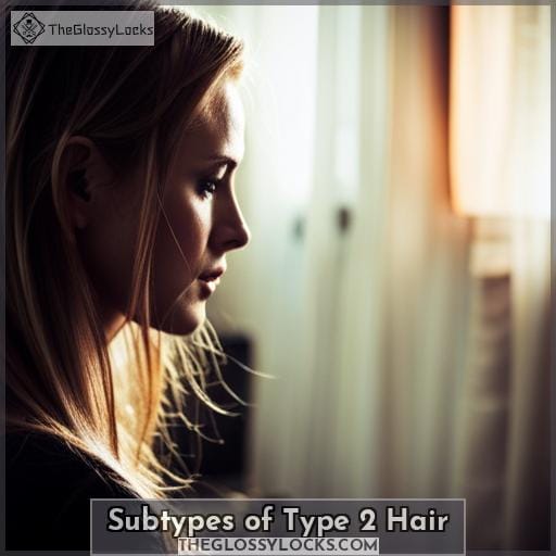 Subtypes of Type 2 Hair Subtypes of Type 2 Hair