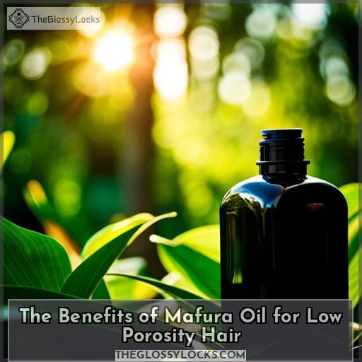 The Benefits of Mafura Oil for Low Porosity Hair